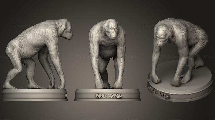 Статуэтки животных (Орангутанг, STKJ_1223) 3D модель для ЧПУ станка